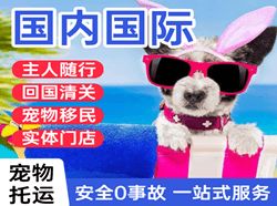 丽江航空邮寄国际宠物托运 【国